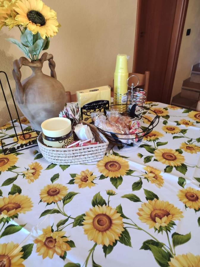 Notti Magiche Bed & Breakfast Castelvecchio Calvisio Dış mekan fotoğraf