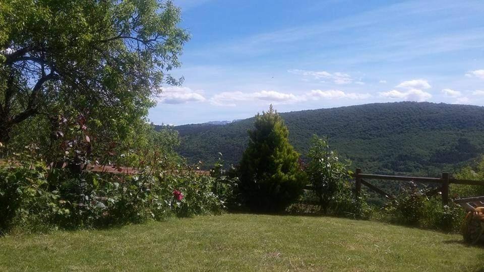 Notti Magiche Bed & Breakfast Castelvecchio Calvisio Dış mekan fotoğraf